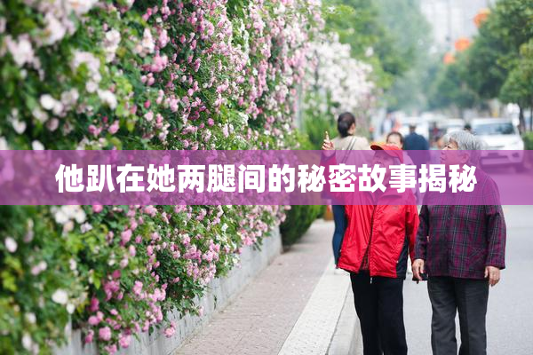 他趴在她两腿间的秘密故事揭秘