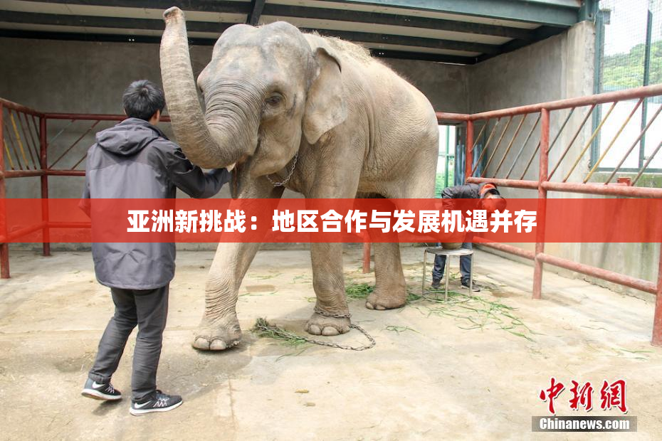 亚洲新挑战：地区合作与发展机遇并存