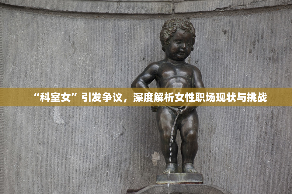 “科室女”引发争议，深度解析女性职场现状与挑战