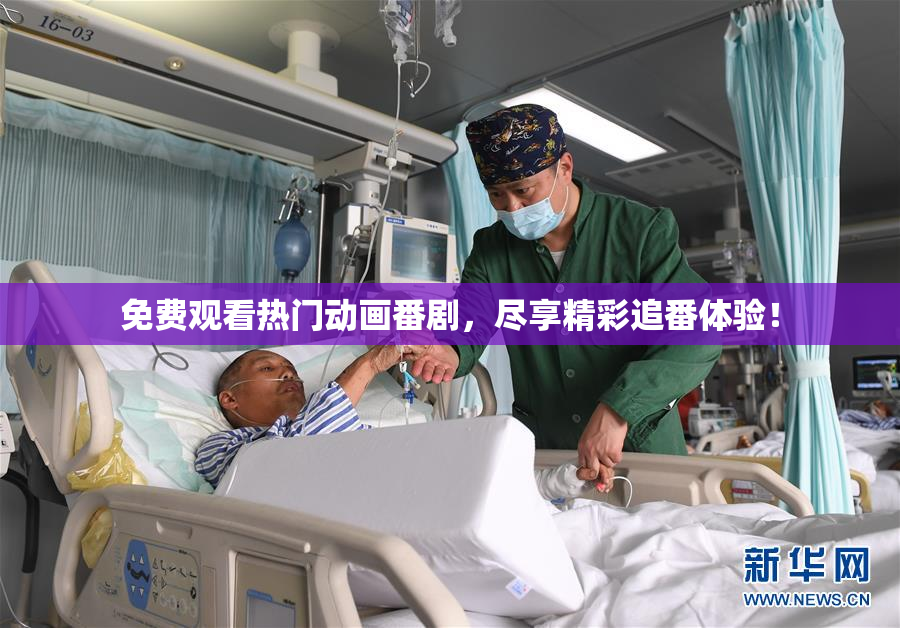 免费观看热门动画番剧，尽享精彩追番体验！