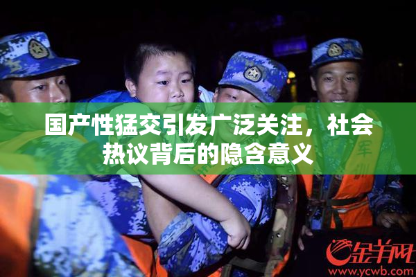 国产性猛交引发广泛关注，社会热议背后的隐含意义