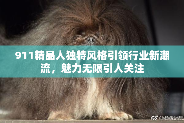 911精品人独特风格引领行业新潮流，魅力无限引人关注