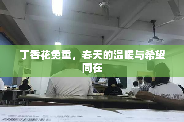 丁香花免重，春天的温暖与希望同在