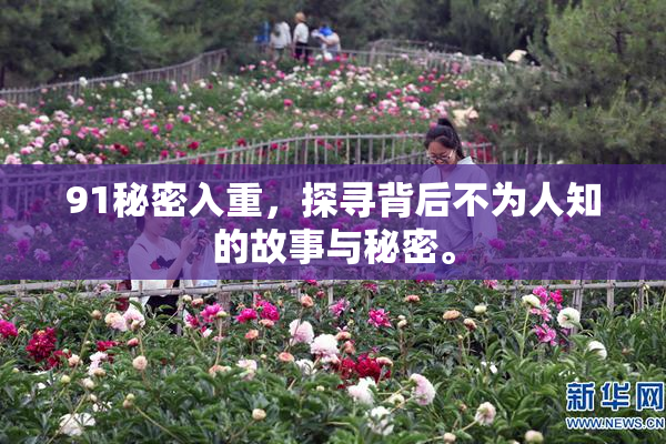 91秘密入重，探寻背后不为人知的故事与秘密。