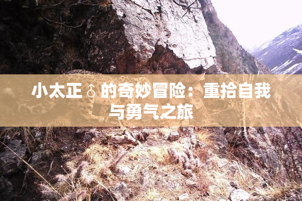 小太正♂的奇妙冒险：重拾自我与勇气之旅