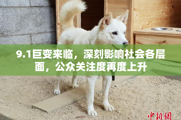 9.1巨变来临，深刻影响社会各层面，公众关注度再度上升