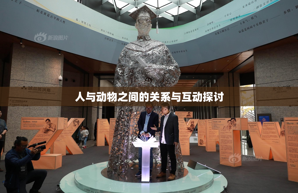人与动物之间的关系与互动探讨