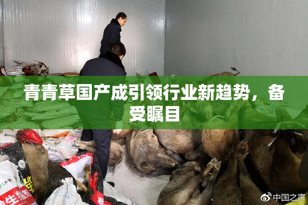 青青草国产成引领行业新趋势，备受瞩目