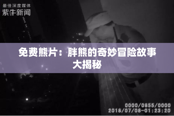 免费熊片：胖熊的奇妙冒险故事大揭秘