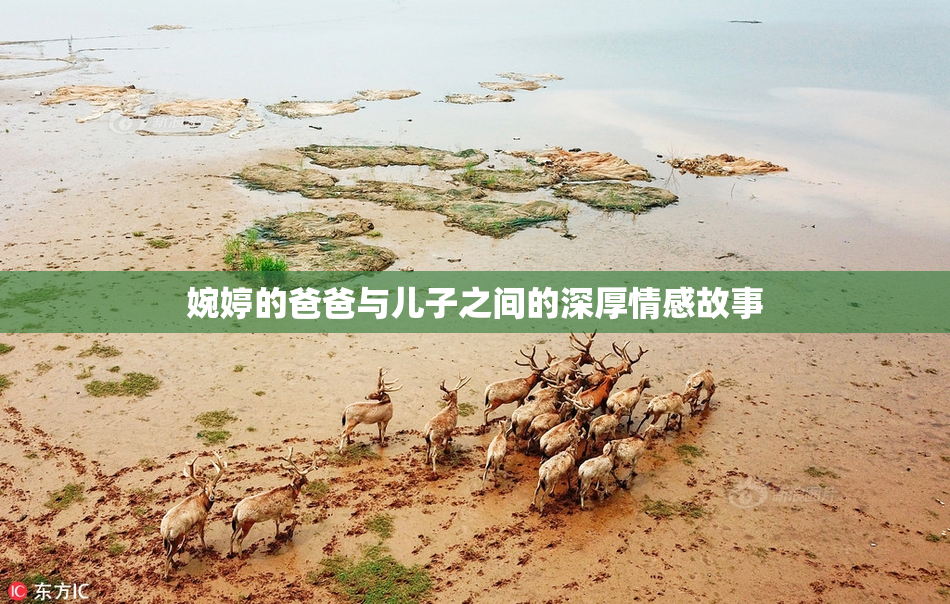 婉婷的爸爸与儿子之间的深厚情感故事