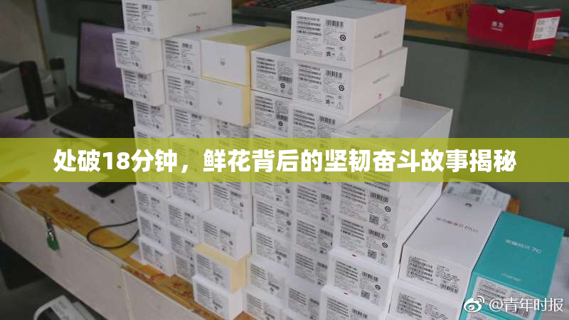 处破18分钟，鲜花背后的坚韧奋斗故事揭秘