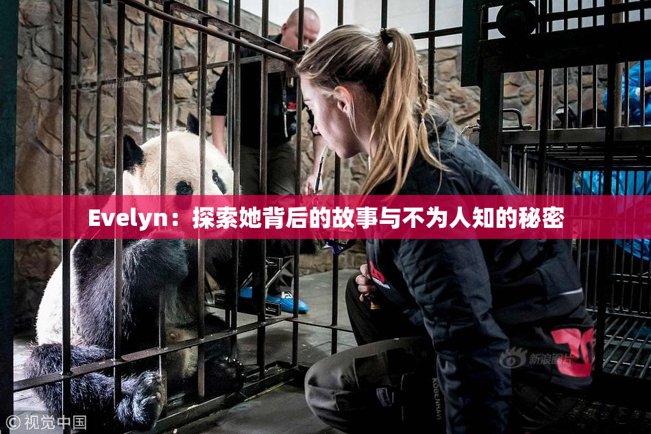 Evelyn：探索她背后的故事与不为人知的秘密