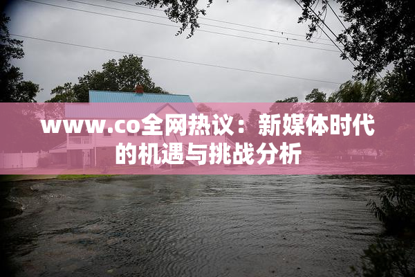 www.co全网热议：新媒体时代的机遇与挑战分析
