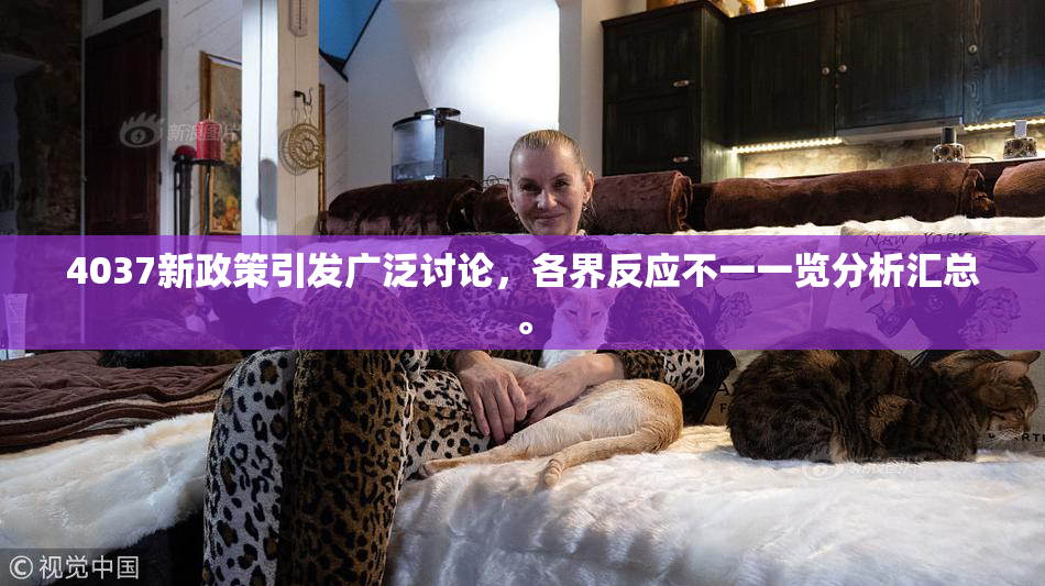 4037新政策引发广泛讨论，各界反应不一一览分析汇总。