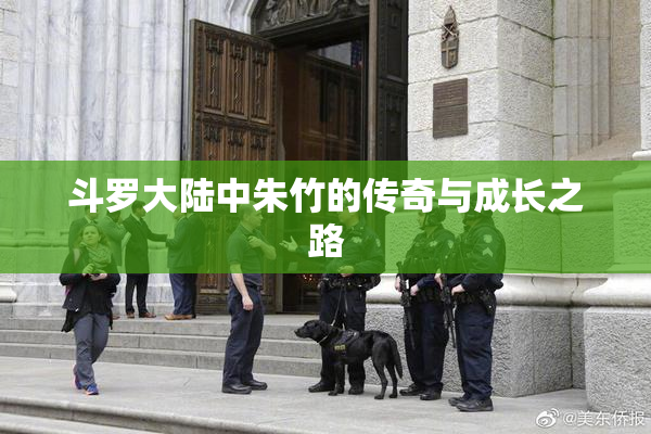 斗罗大陆中朱竹的传奇与成长之路