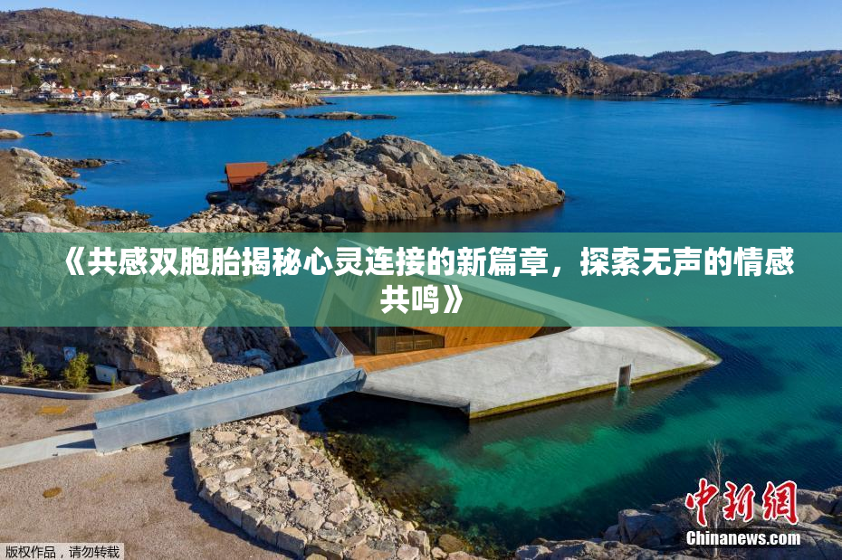 《共感双胞胎揭秘心灵连接的新篇章，探索无声的情感共鸣》