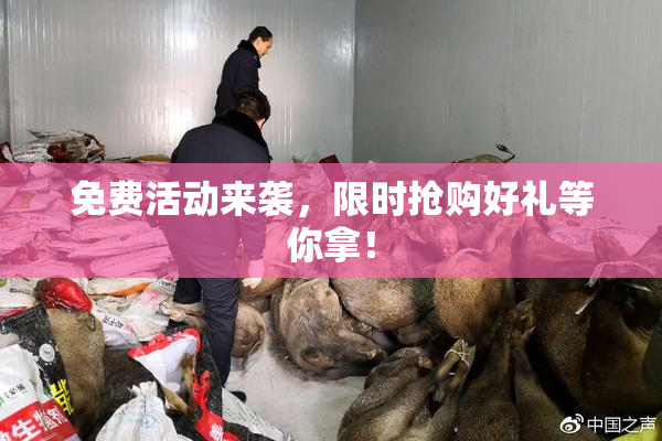 免费活动来袭，限时抢购好礼等你拿！