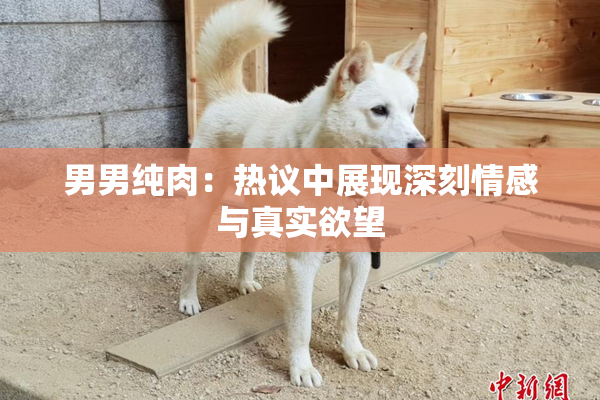 男男纯肉：热议中展现深刻情感与真实欲望