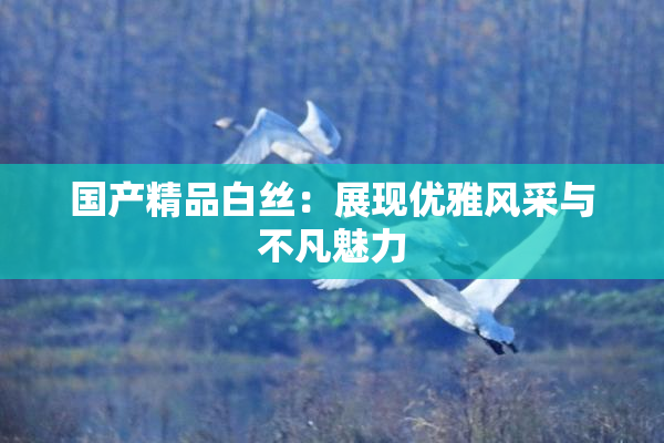 国产精品白丝：展现优雅风采与不凡魅力