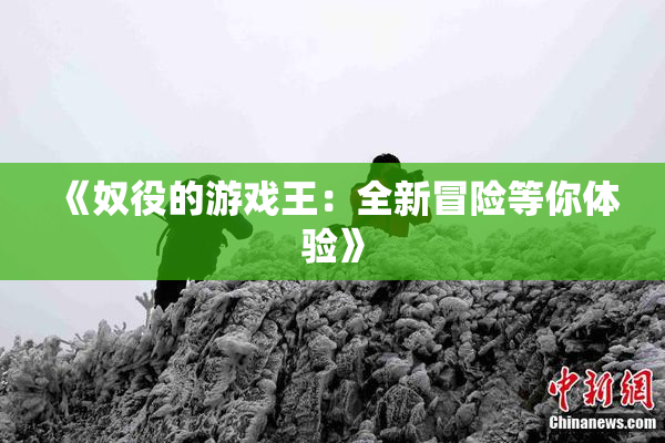 《奴役的游戏王：全新冒险等你体验》