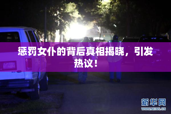 惩罚女仆的背后真相揭晓，引发热议！