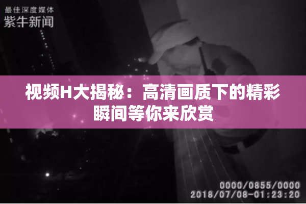 视频H大揭秘：高清画质下的精彩瞬间等你来欣赏