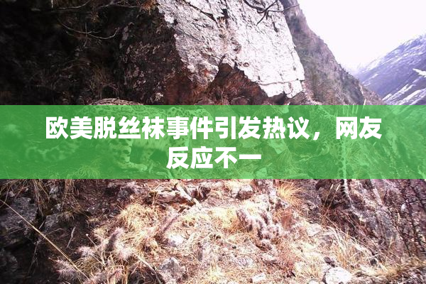 欧美脱丝袜事件引发热议，网友反应不一