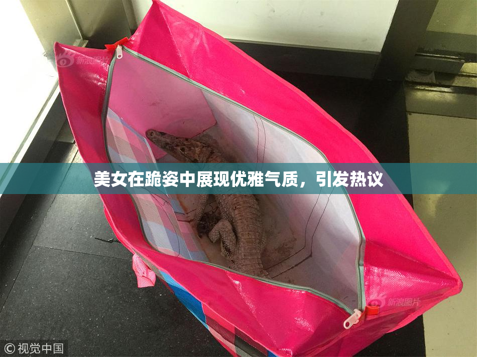 美女在跪姿中展现优雅气质，引发热议