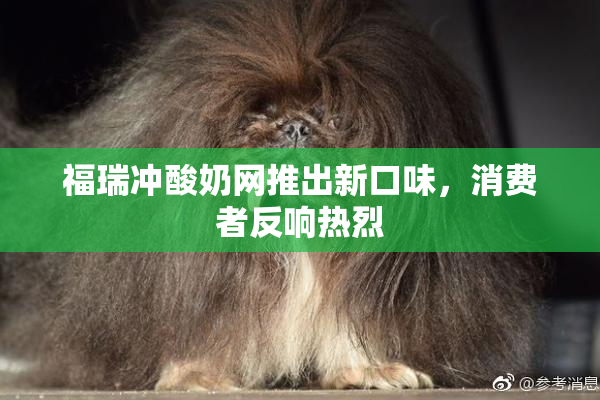 福瑞冲酸奶网推出新口味，消费者反响热烈