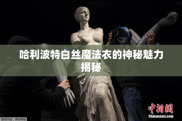 哈利波特白丝魔法衣的神秘魅力揭秘