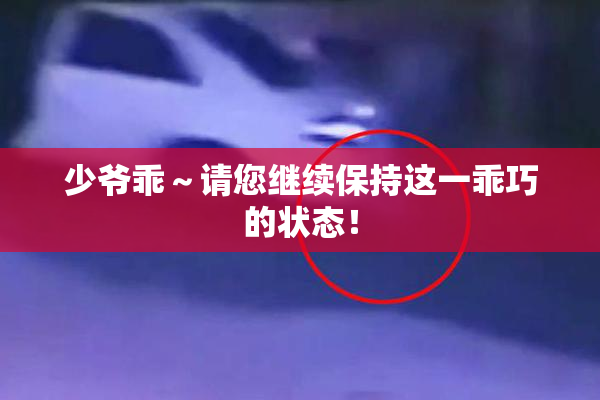 少爷乖～请您继续保持这一乖巧的状态！