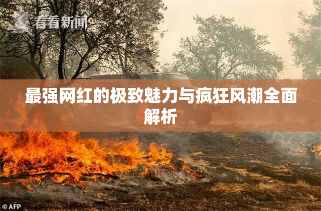 最强网红的极致魅力与疯狂风潮全面解析