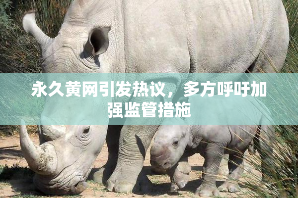 永久黄网引发热议，多方呼吁加强监管措施