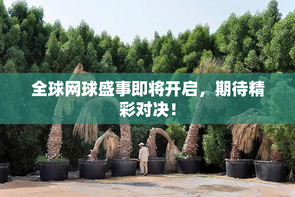 全球网球盛事即将开启，期待精彩对决！