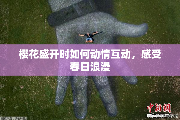 樱花盛开时如何动情互动，感受春日浪漫