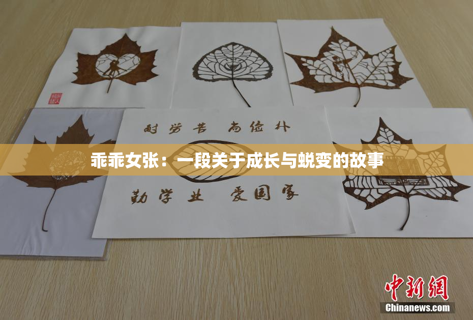 乖乖女张：一段关于成长与蜕变的故事