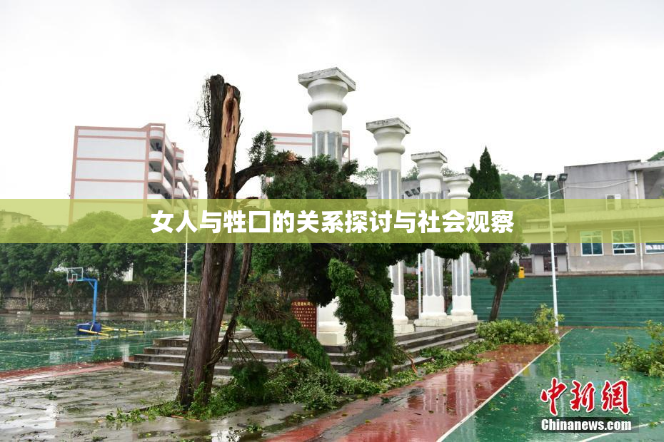 女人与牲囗的关系探讨与社会观察