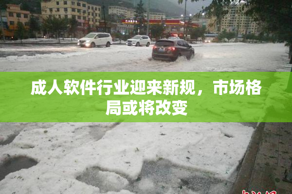 成人软件行业迎来新规，市场格局或将改变