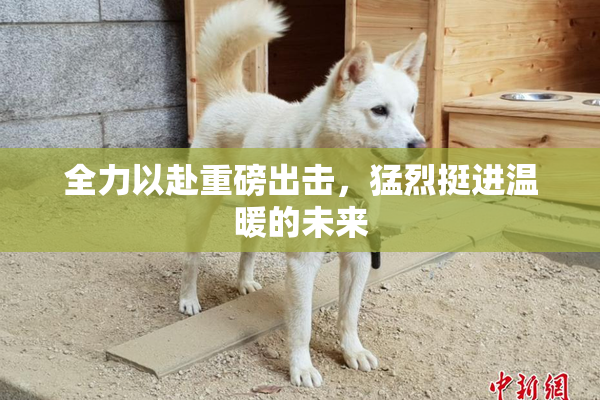 全力以赴重磅出击，猛烈挺进温暖的未来