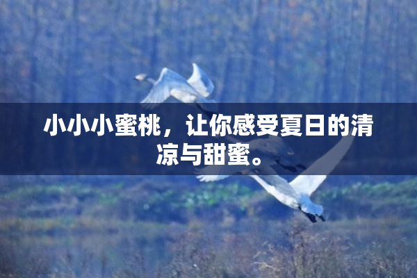 小小小蜜桃，让你感受夏日的清凉与甜蜜。
