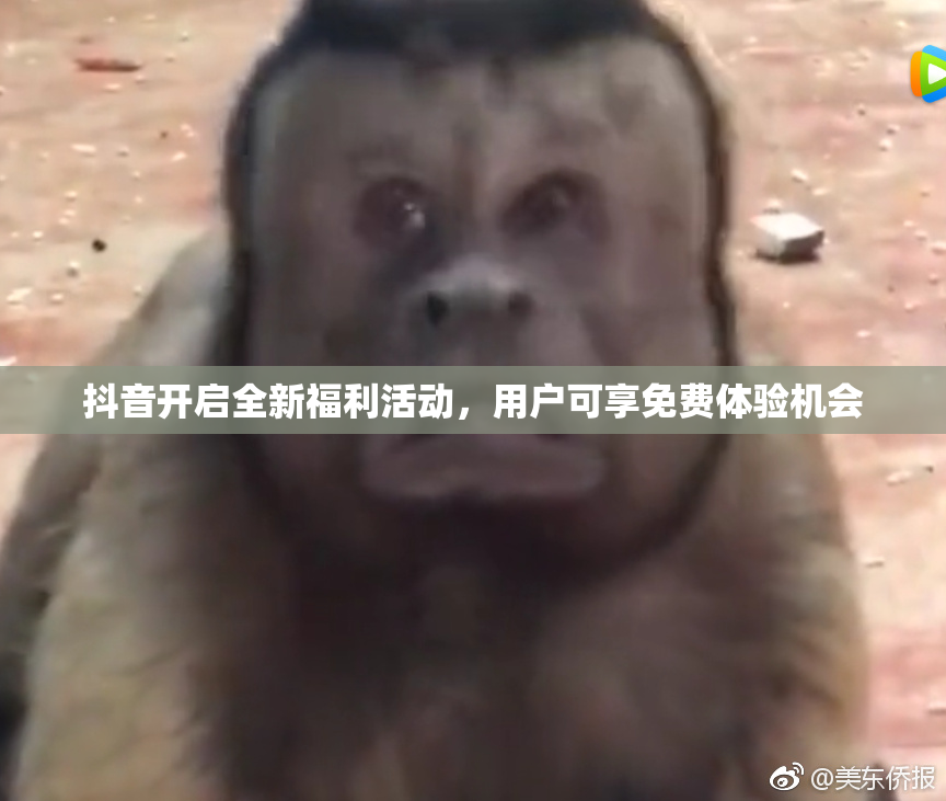 抖音开启全新福利活动，用户可享免费体验机会