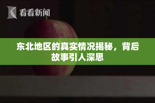 东北地区的真实情况揭秘，背后故事引人深思