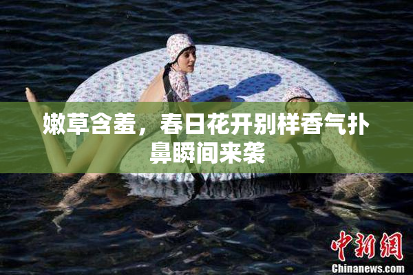 嫩草含羞，春日花开别样香气扑鼻瞬间来袭