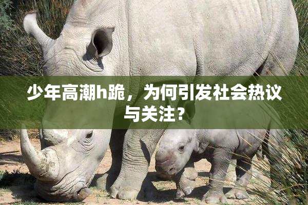 少年高潮h跪，为何引发社会热议与关注？