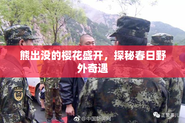 熊出没的樱花盛开，探秘春日野外奇遇