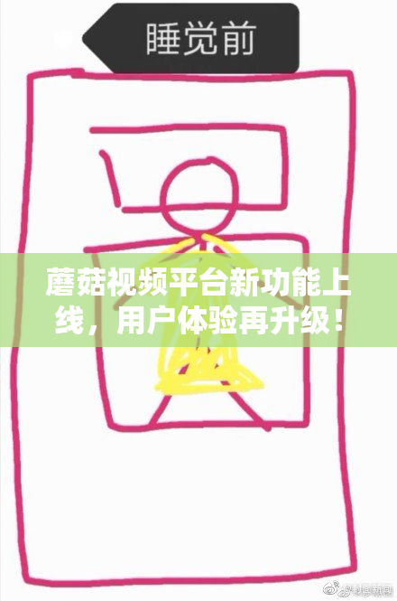 蘑菇视频平台新功能上线，用户体验再升级！