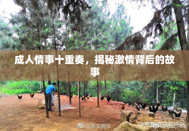 成人情事十重奏，揭秘激情背后的故事