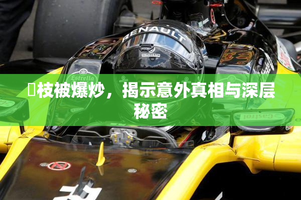 狛枝被爆炒，揭示意外真相与深层秘密