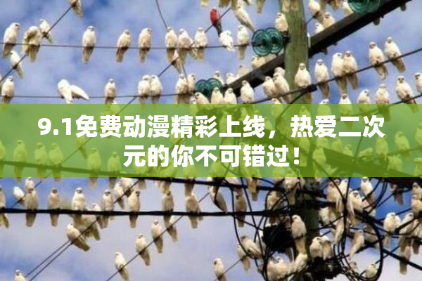 9.1免费动漫精彩上线，热爱二次元的你不可错过！