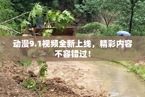 动漫9.1视频全新上线，精彩内容不容错过！
